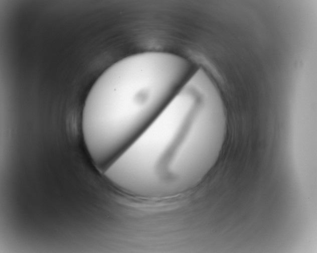 X0000088200023200705292041