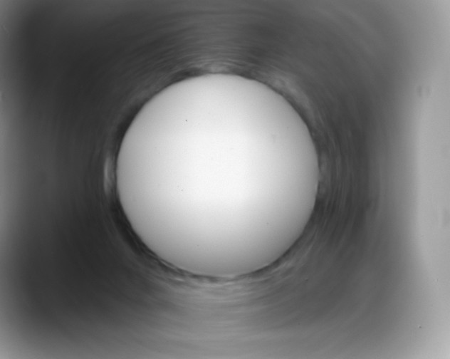 X0000088200024200705292041