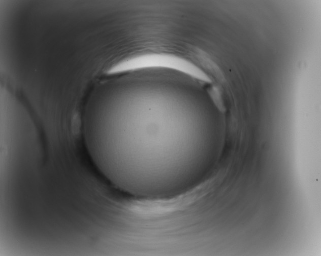 X0000088200025200705292041