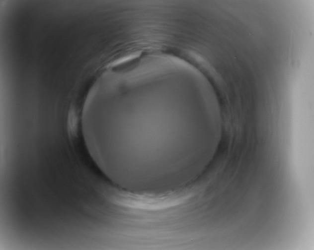 X0000088200026200705292041