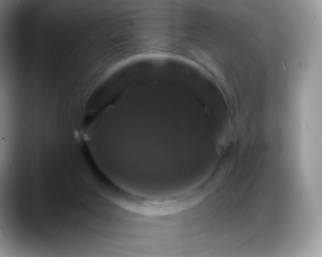 X0000088200027200705292041