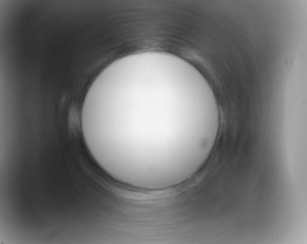 X0000088200028200705292041