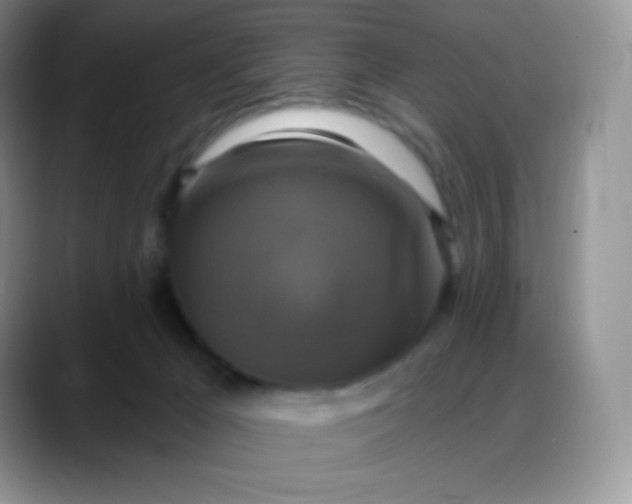 X0000088200029200705292041