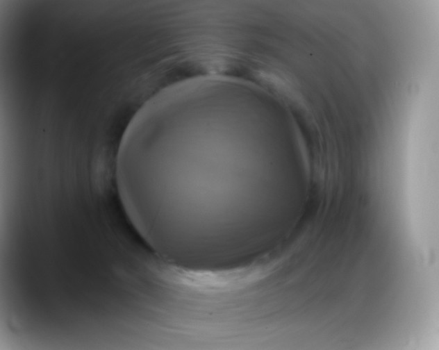 X0000088200030200705292041