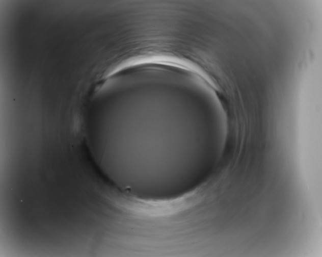 X0000088200031200705292041