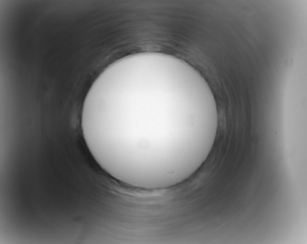 X0000088200032200705292041