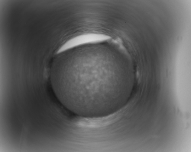 X0000088200033200705292041