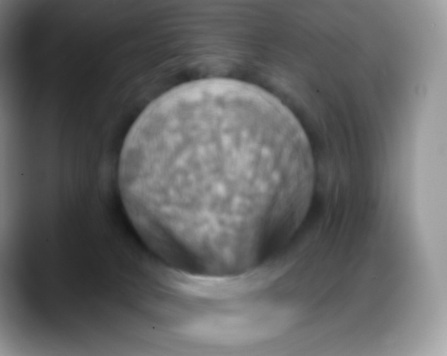 X0000088200034200705292041