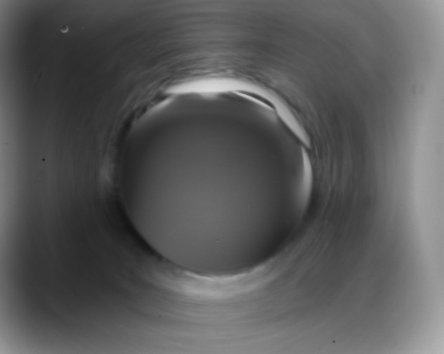 X0000088200035200705292041