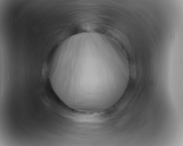 X0000088200036200705292041