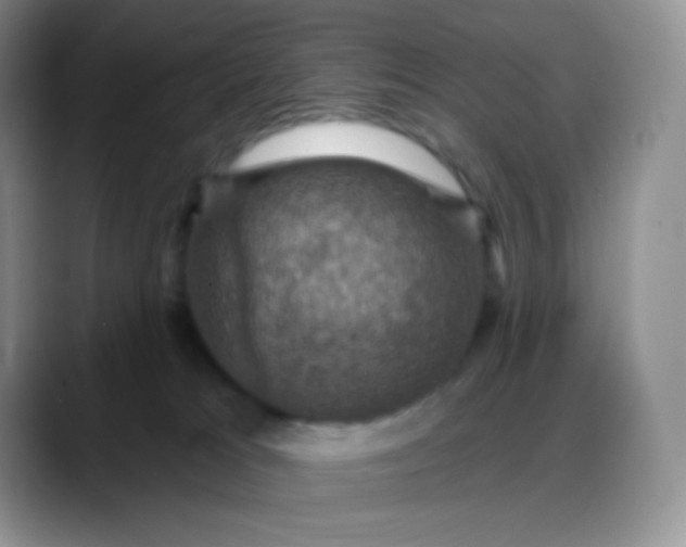 X0000088200037200705292041