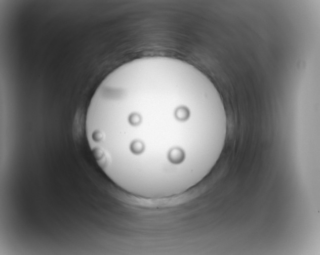 X0000088200038200705292041