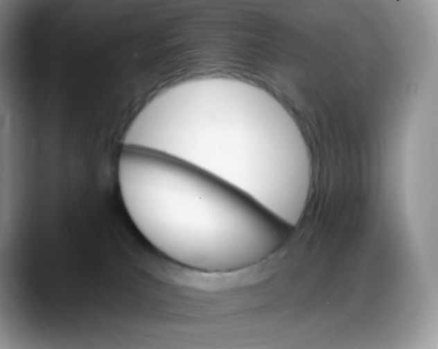 X0000088200039200705292041