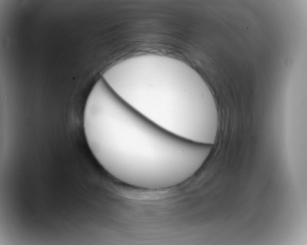 X0000088200040200705292041