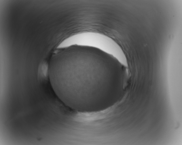 X0000088200041200705292041