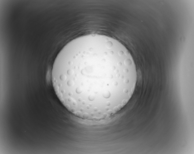 X0000088200042200705292041