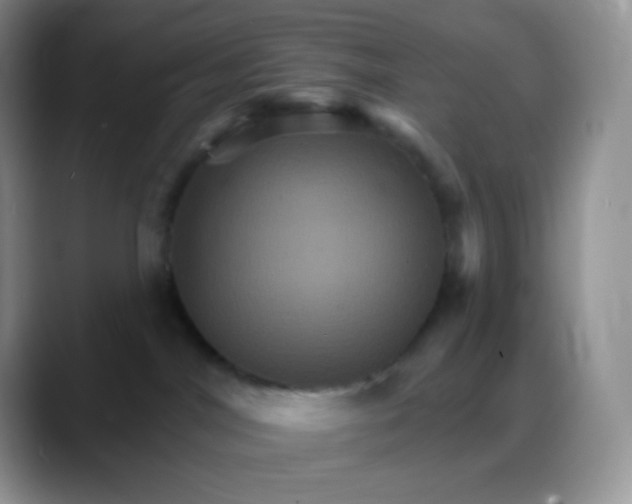 X0000088200044200705292041