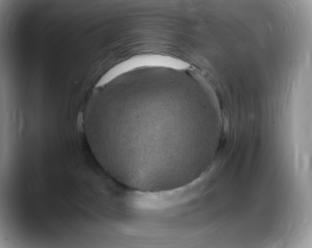 X0000088200045200705292041