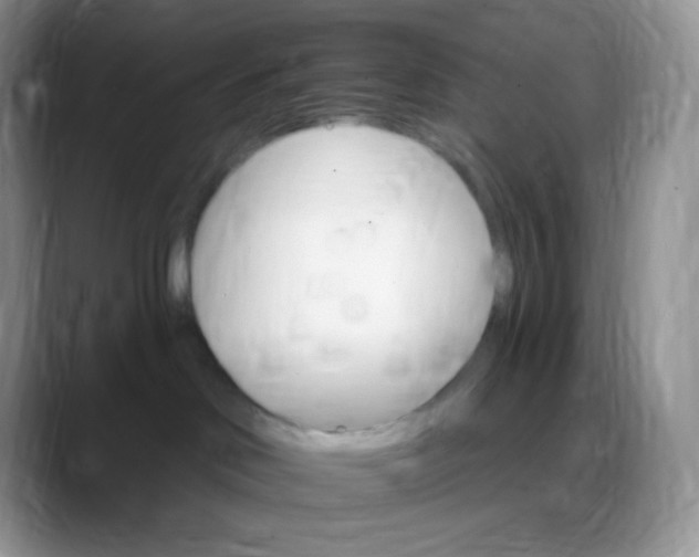 X0000088200046200705292041