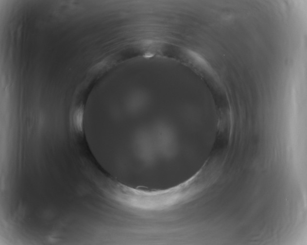 X0000088200047200705292041