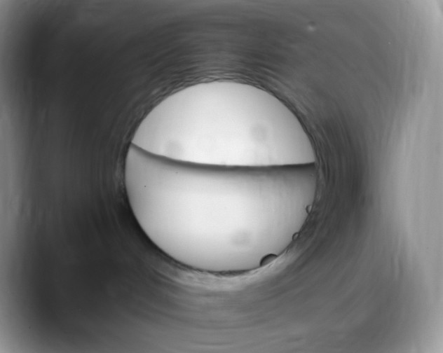 X0000088200048200705292041