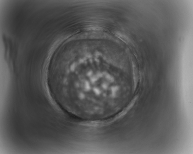 X0000088200049200705292040