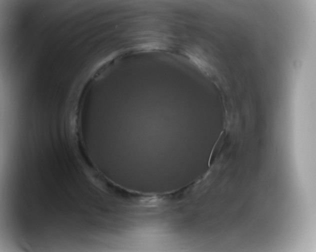 X0000088200050200705292040