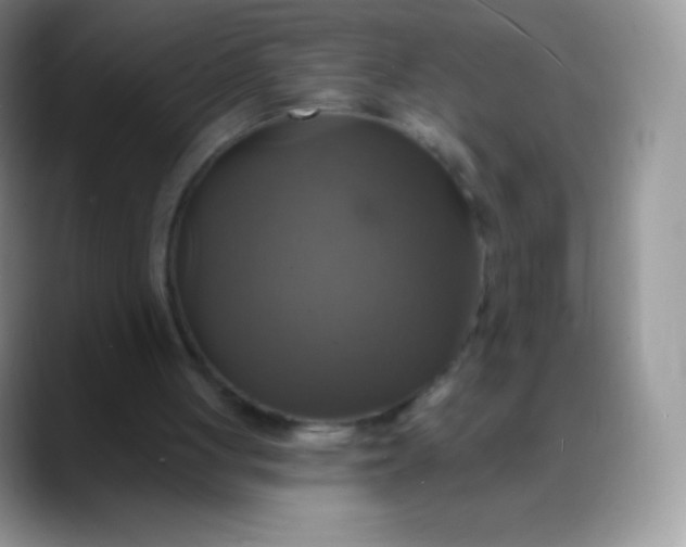 X0000088200051200705292040