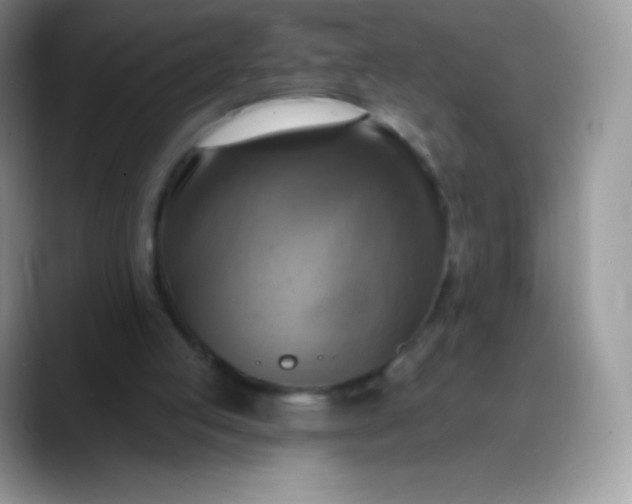 X0000088200053200705292040