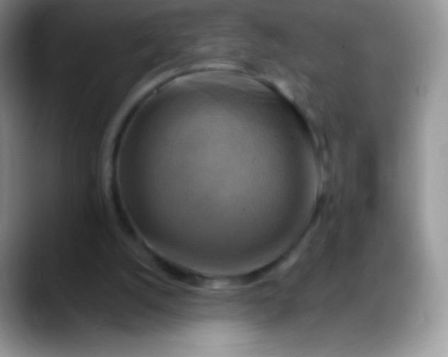 X0000088200056200705292041