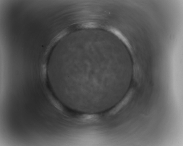 X0000088200057200705292041