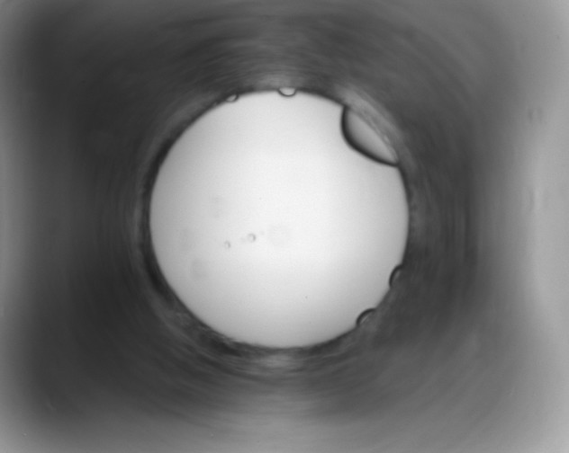 X0000088200058200705292041