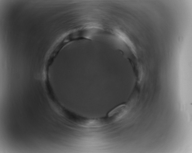 X0000088200060200705292041