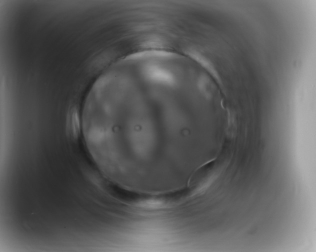 X0000088200061200705292041