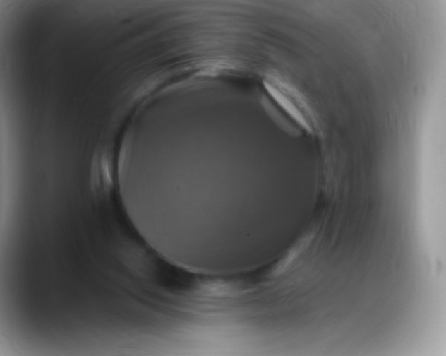 X0000088200062200705292041