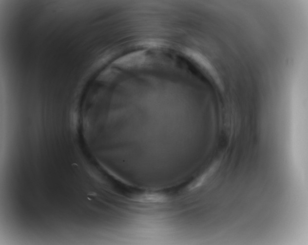 X0000088200063200705292041