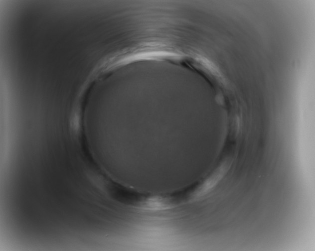 X0000088200064200705292041