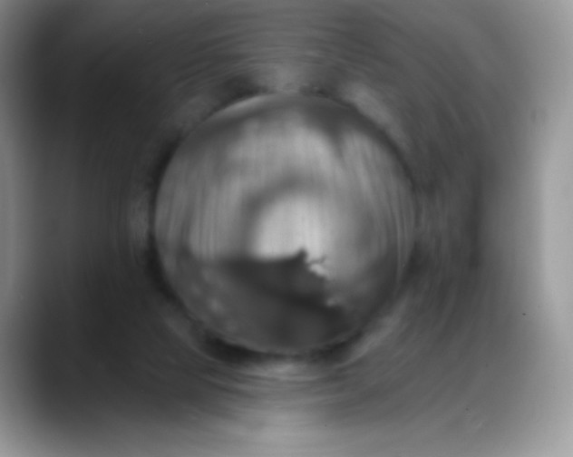 X0000088200065200705292041