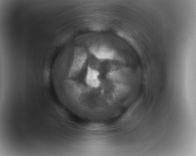 X0000088200066200705292041