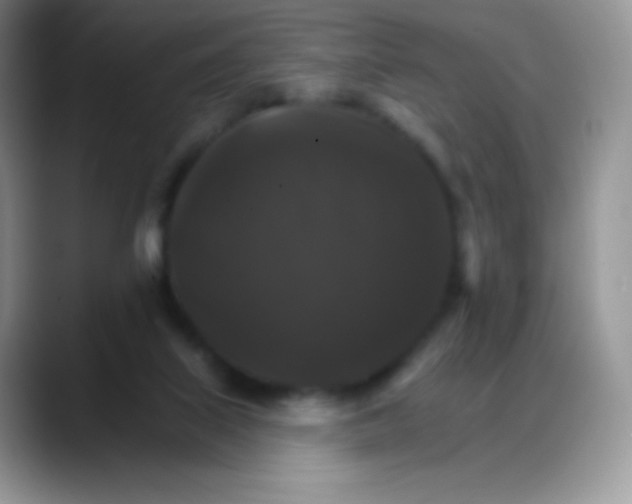 X0000088200067200705292041