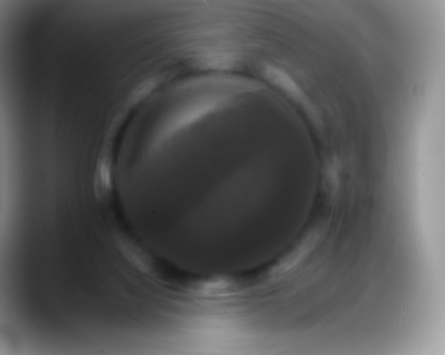 X0000088200068200705292041