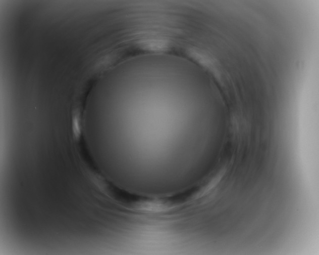 X0000088200069200705292041