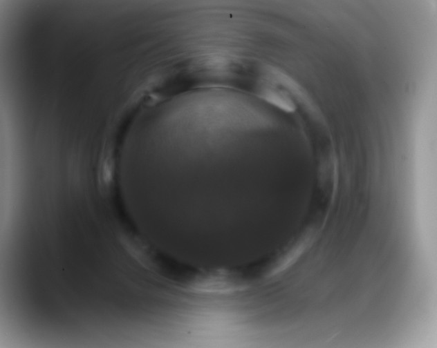 X0000088200072200705292041