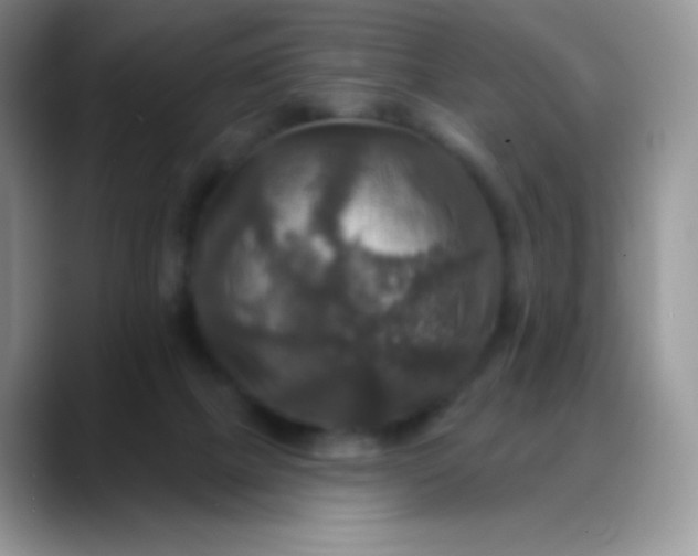 X0000088200073200705292041