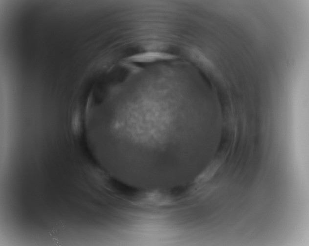 X0000088200074200705292041