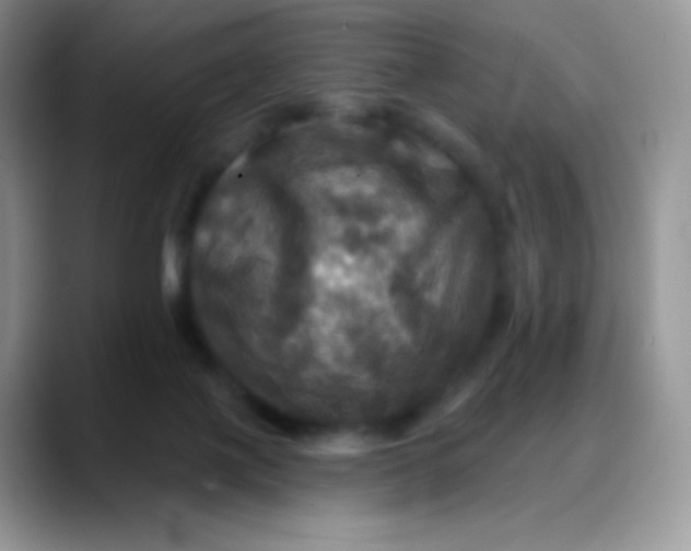 X0000088200075200705292041