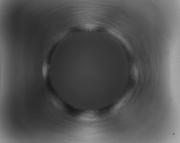 X0000088200076200705292041