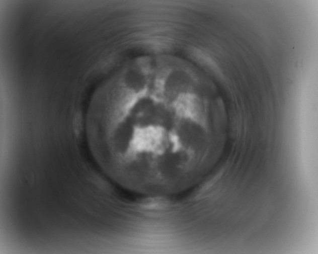 X0000088200077200705292041