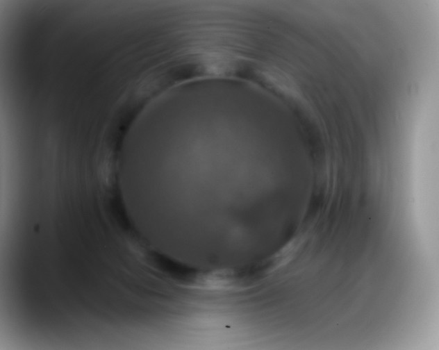 X0000088200078200705292041