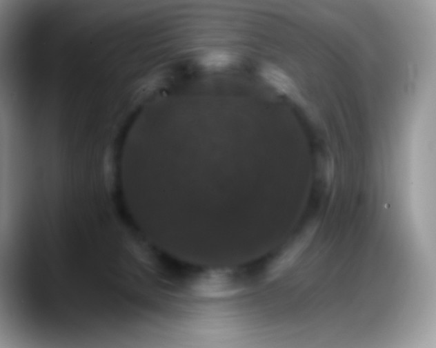 X0000088200080200705292041